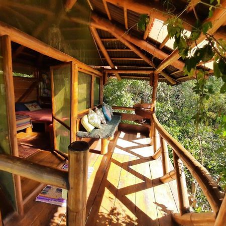 Mariri Jungle Lodge Alto Paraíso de Goiás エクステリア 写真