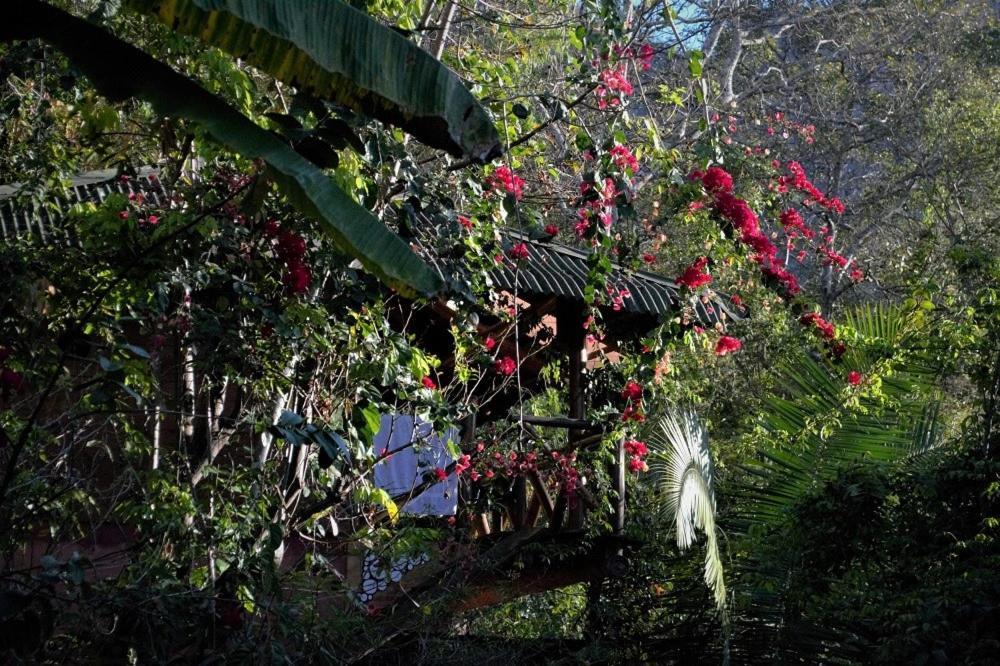 Mariri Jungle Lodge Alto Paraíso de Goiás エクステリア 写真