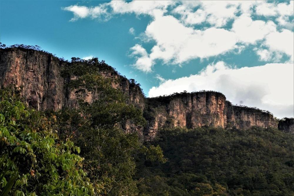 Mariri Jungle Lodge Alto Paraíso de Goiás エクステリア 写真