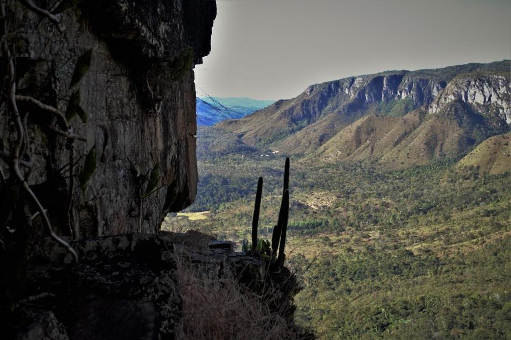 Mariri Jungle Lodge Alto Paraíso de Goiás エクステリア 写真