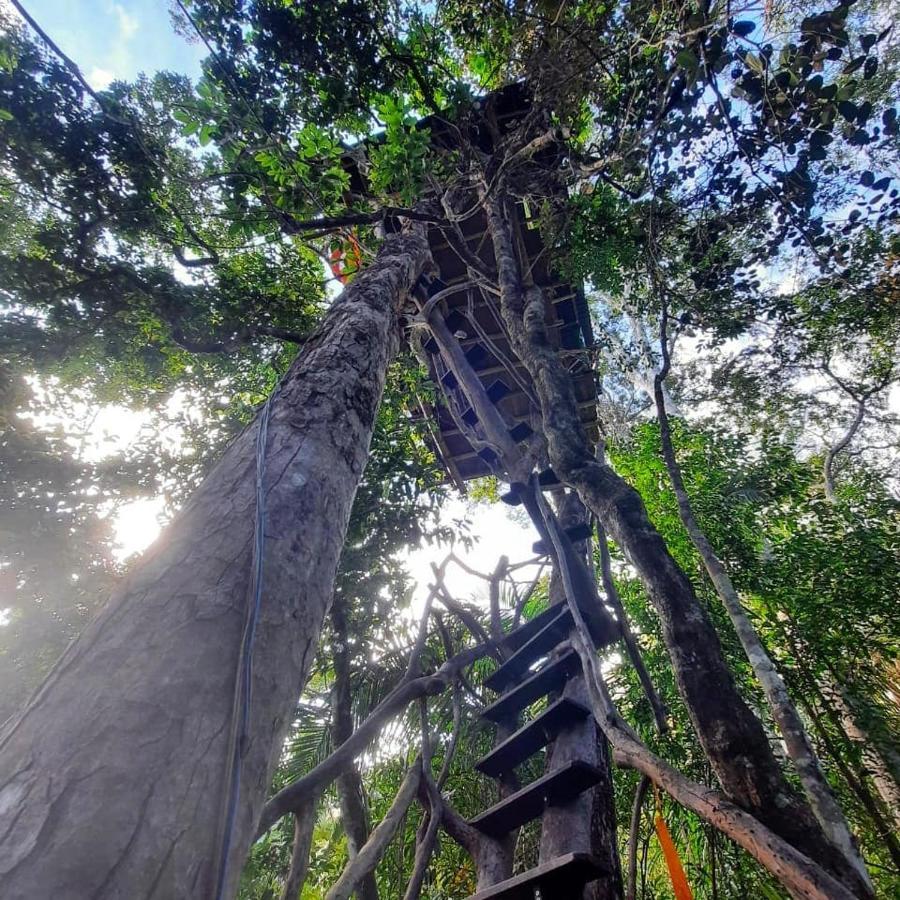 Mariri Jungle Lodge Alto Paraíso de Goiás エクステリア 写真