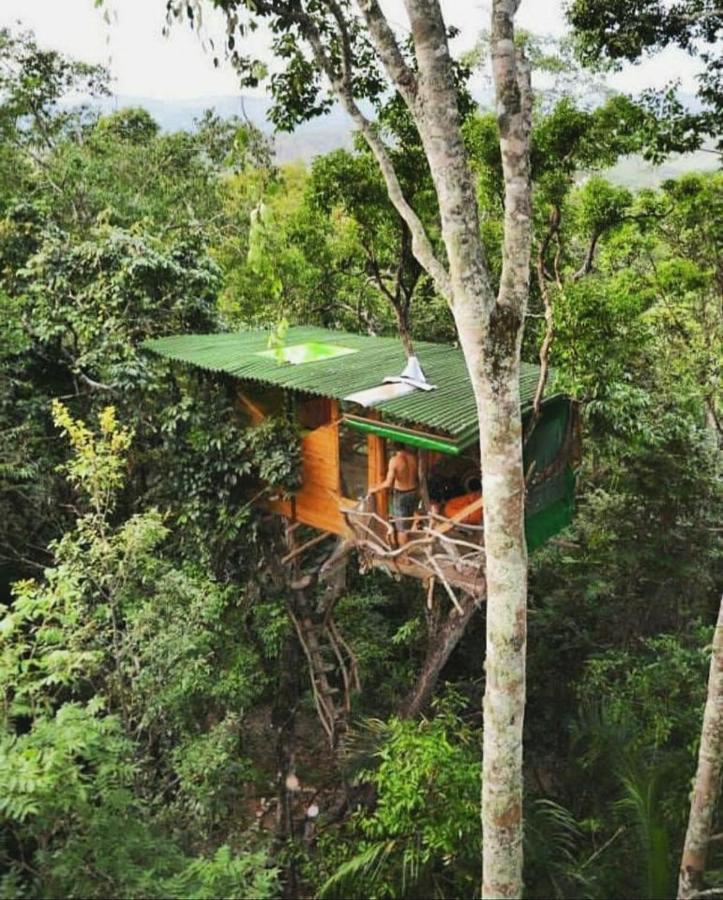 Mariri Jungle Lodge Alto Paraíso de Goiás エクステリア 写真