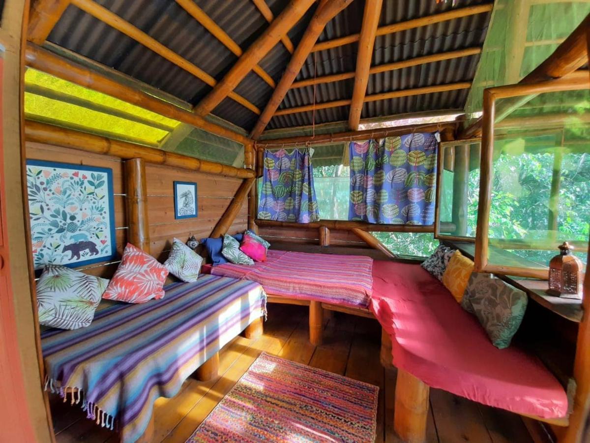 Mariri Jungle Lodge Alto Paraíso de Goiás エクステリア 写真
