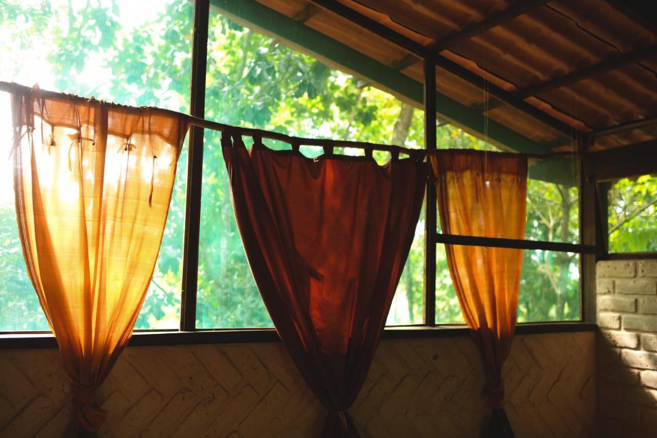 Mariri Jungle Lodge Alto Paraíso de Goiás エクステリア 写真