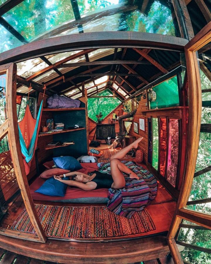 Mariri Jungle Lodge Alto Paraíso de Goiás エクステリア 写真