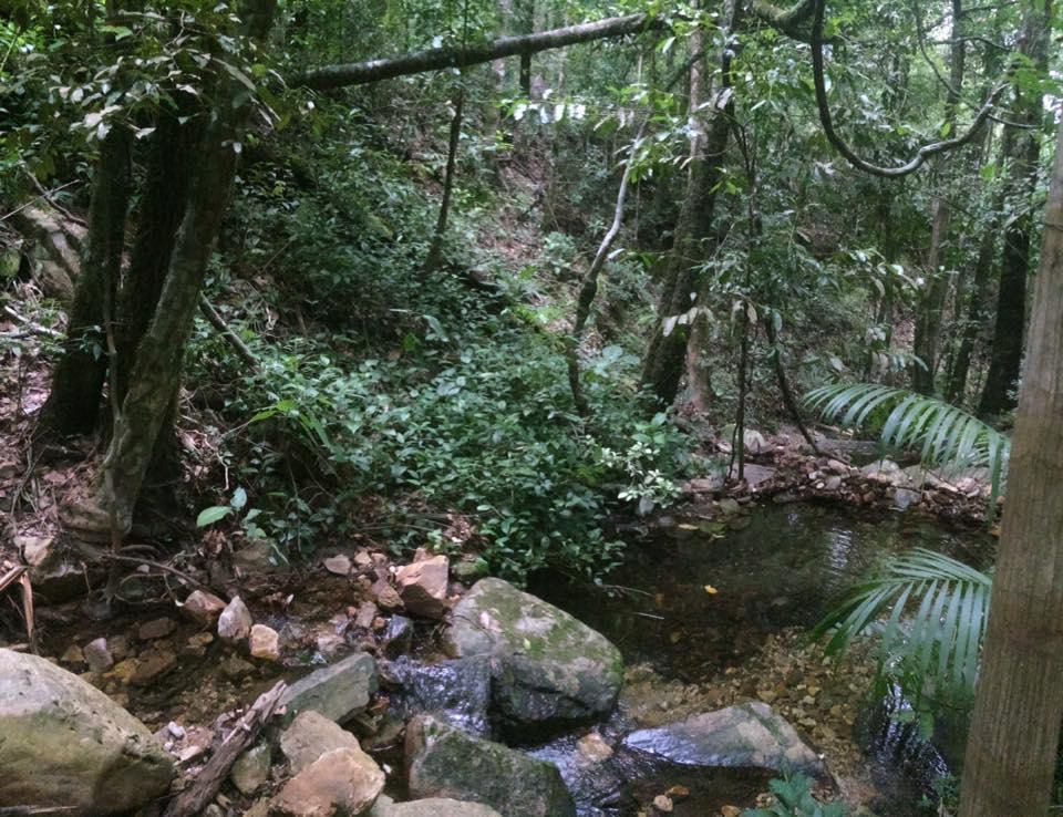 Mariri Jungle Lodge Alto Paraíso de Goiás エクステリア 写真