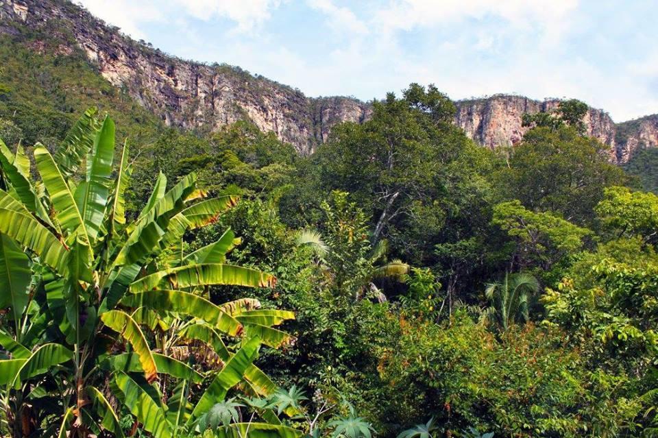 Mariri Jungle Lodge Alto Paraíso de Goiás エクステリア 写真