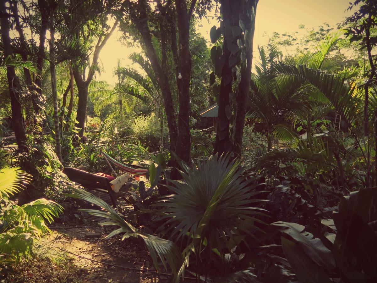 Mariri Jungle Lodge Alto Paraíso de Goiás エクステリア 写真