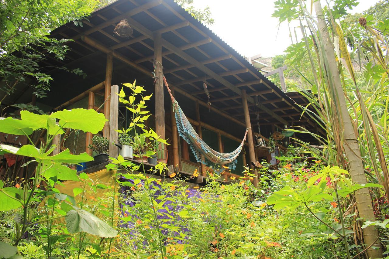 Mariri Jungle Lodge Alto Paraíso de Goiás エクステリア 写真