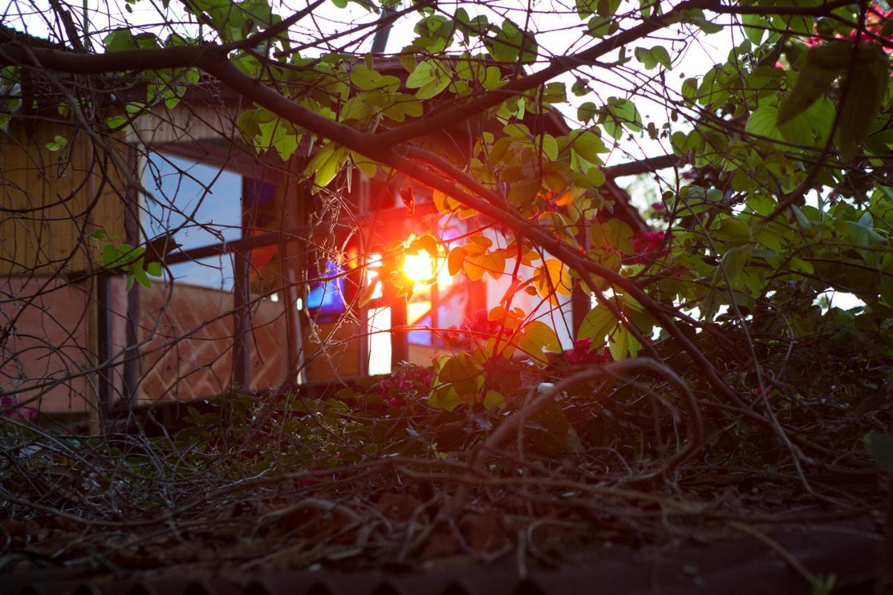Mariri Jungle Lodge Alto Paraíso de Goiás エクステリア 写真