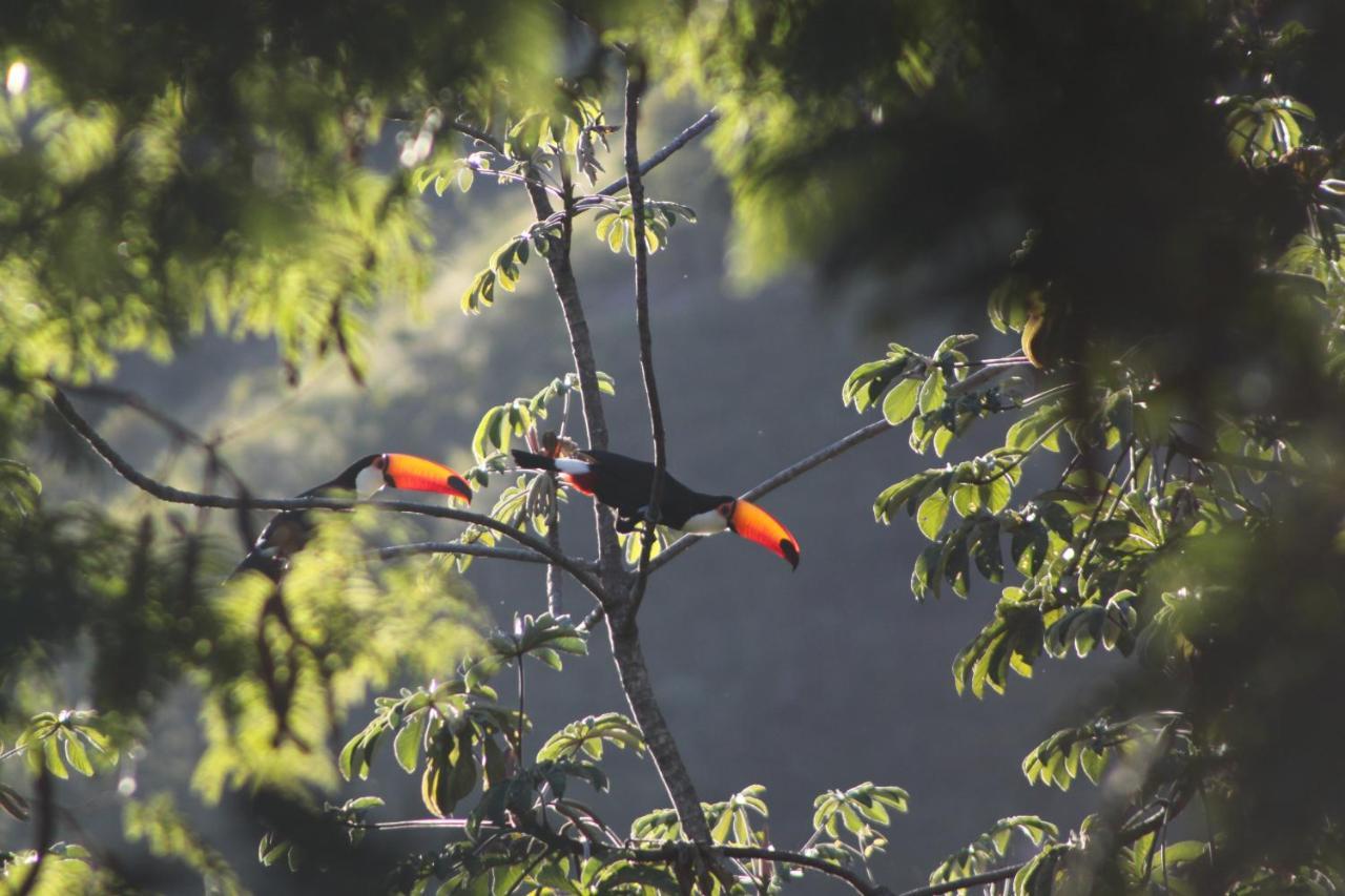 Mariri Jungle Lodge Alto Paraíso de Goiás エクステリア 写真