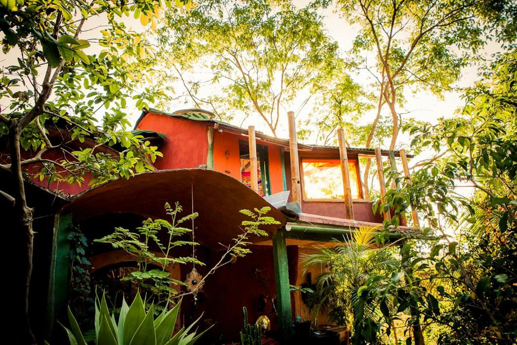 Mariri Jungle Lodge Alto Paraíso de Goiás エクステリア 写真