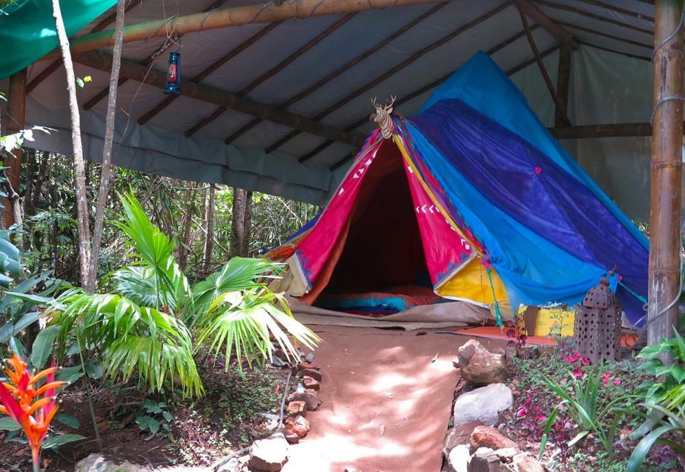 Mariri Jungle Lodge Alto Paraíso de Goiás エクステリア 写真
