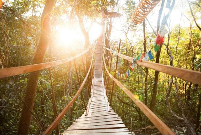 Mariri Jungle Lodge Alto Paraíso de Goiás エクステリア 写真