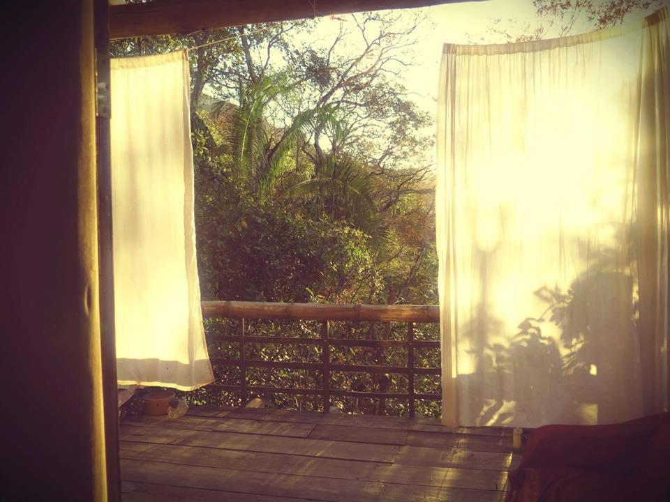 Mariri Jungle Lodge Alto Paraíso de Goiás エクステリア 写真